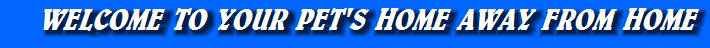 pet_resort_home001009.jpg